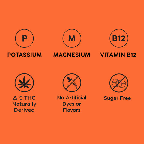Unflavored Sugar-Free Electrolyte Drink Mix | 10 Single-Serve Sticks